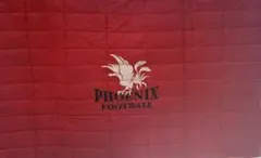 Item thumbnail for item 51e7ff77-e310-406e-95e3-a807775f7f5f