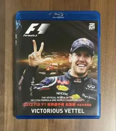 F1 総集編DVD セット 2010-2020　プラス1枚　計12枚セット F1 総集編DVD セット 2010-2020 プラス1枚 計12枚セット 2025年
