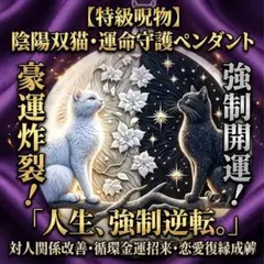 【特級呪物】豪運炸裂 強制開運 陰陽和合の双猫 究極縁結び 金運招来ネックレス