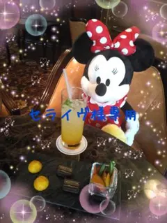 エムズグレイシー♡シフォン♡フリル♡ボレロのサムネイル
