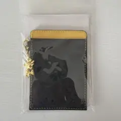 ファイナルファンタジー パスケース チョコボ