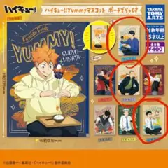 ハイキューポーチデラックスまとめ売り