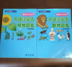 lily様 リクエスト 2点 まとめ商品