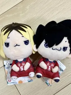 ハイキュー 孤爪研磨 黒尾鉄朗 もちぴこぬいぐるみ 音駒高校 7セット 14点 2026年最新】もちぴこ ハイキュー 黒尾の人気アイテム - メルカリ