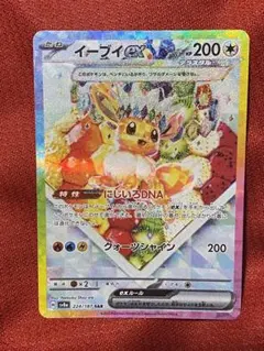 イーブイケーキ ex SAR SV8a テラスタルフェスex 224/187