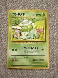【美品】旧裏　フシギダネ　フシギソウ