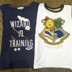 ハリーポッター Tシャツ２枚セット Ｈ＆Ｍ 100