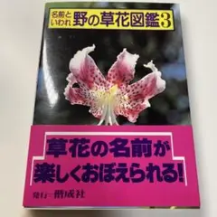 名前といわれ 野の草花図鑑 3