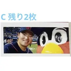 村上宗隆 つば九郎 せるふぱちり