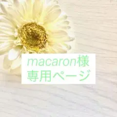 macaron様