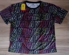 Item thumbnail for item 2f8fee06-132d-48b6-b630-e93de2576310