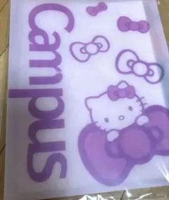 レア品！campusハローキティ キャンパスバインダー　ルーズリーフバインダー