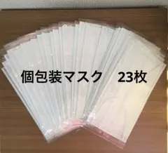 不織布マスク　個包装　23枚　白　ホワイト