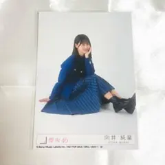 2026年最新】向井純葉生写真の人気アイテム - メルカリ