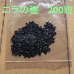 yuko0823様 リクエスト 3点 まとめ商品