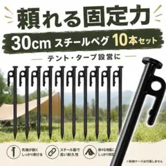 スチールペグ 鍛造 キャンプ テント 30cm 10本セット テント タープのサムネイル