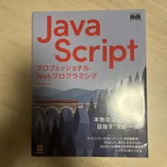 プロフェッショナルWebプログラミング JavaScriptのサムネイル