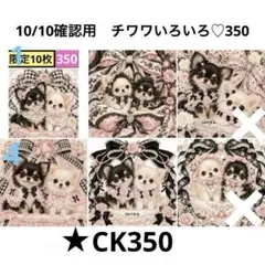 確認用10/10 チワワ　(CK340,345,348,349,350,355)
