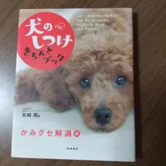 Item thumbnail for item c5e7f2c4-e91e-45af-abfd-010ed10a8c8c