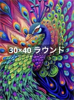 ♣️【30×40】ラウンド　孔雀　ダイヤモンドアートキット