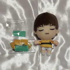 テニプリ 柳蓮二 おきぬいミニ