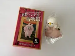 カナヘイの小動物 世界トンデモ博物館 ブラインドフィギュア コンプリートセット 日本初上陸！トンデモな仕掛けがあふれる！『カナヘイの小動物 世界