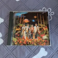 VANILLA CD