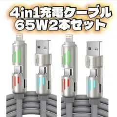 4in1充電ケーブル 最大65W グレー 2本 lightning typec