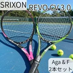 2026年最新】スリクソン revo cs 10.0の人気アイテム - メルカリ