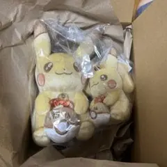 ポケモン30周年 ピカチュウ ぬいぐるみ セット