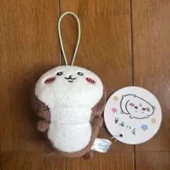 ちいかわ ねそべりマスコット ちいかぶ カブトムシのサムネイル