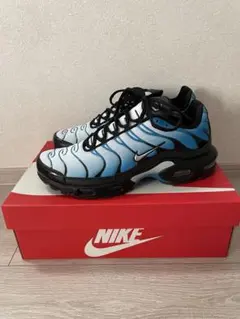 チ*チ様 Nike Air Max Plus 青/黒