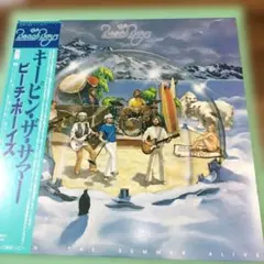 【極美品★80国内初盤LP】ビーチ・ボーイズ/キーピン・ザ・サマー　山下達郎
