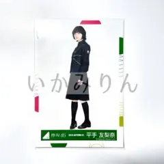 欅坂　平手友梨奈　生写真 平手友梨奈 生写真 コンプ 欅坂46 - メルカリ