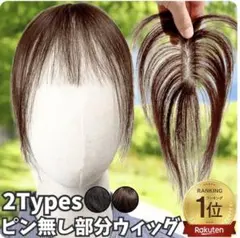 2タイプ ピンなし部分ウィッグ