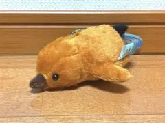 ペンギンアイランドスイミング　きんぐぼっちゃん