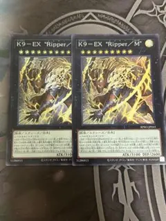 k9 遊戯王OCG デュエルモンスターズ