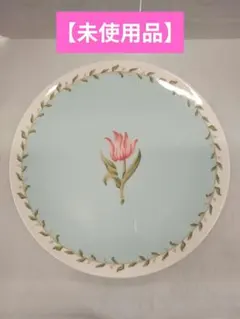 T299【未使用品】 PT BL プレート 24cm ティファニー　皿