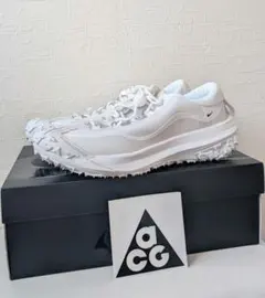 【未使用】NIKE × コムデギャルソンオムプリュス 27cm