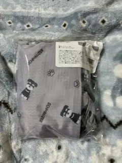 Item thumbnail for item c2b3de29-642e-410f-8c01-9c36e53876f8