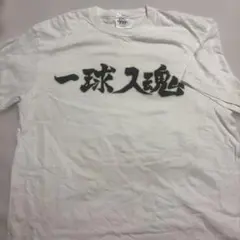 Item thumbnail for item 1177c347-d28f-42f2-bb32-14dd896c72b7