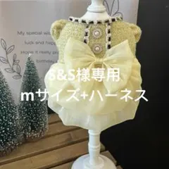 S&S様犬服　猫服　ハンドメイド　ワンピース　わんちゃん