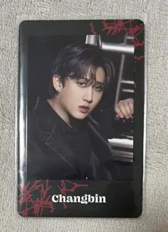 スキズ チャンビン フォトカ トレカ ワルツ JAPAN dominATE