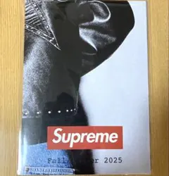 supreme シュプリーム　カレンダー2001 希少　レア Supreme SUPREME シュプリーム 2001 PHOTOGRAPHS BY JAMIL GS