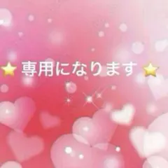 ⭐️ satomi様専用 ⭐️
