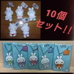 くずぴょん 10個セット