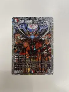 血貴き侵略 ブラッドゾーン サインシク 血貴き侵略 ブラッドゾーン (サイン) 秘8超/秘10 SR｜デュエマ
