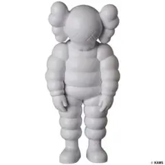 2026年最新】kaws what partyの人気アイテム - メルカリ