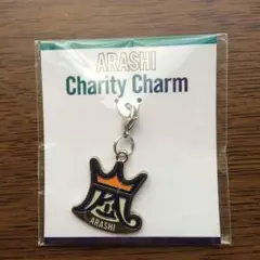 嵐  ビュティフルワールド チャリティーチャーム