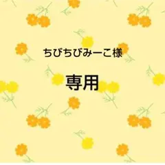 ちびちびみーこ様　おまとめ品専用
